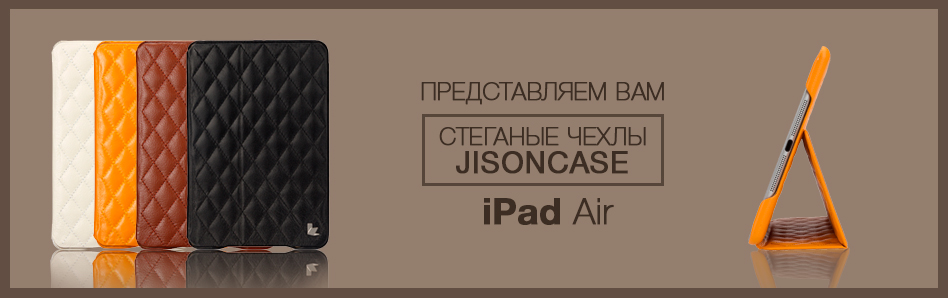   iPad Air (Jisoncase)